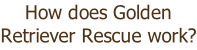 How does Golden Retriever Rescue work?
